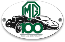 enamel_badge_mgccat